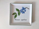 Farfurie portelan, patrata cu afine, APILCO Porcelaine France