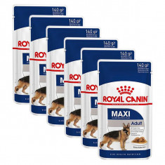 Plicule Royal Canin Maxi Adult 6 x 140 g foto