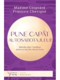 Cumpara ieftin Pune capat autosabotajului! Metoda celor 7 profiluri pentru a iesi din cercul vicios/Maxime Coignard, Francois Chevigne