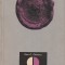 DINU C. GIURESCU - ION VODA CEL VITEAZ