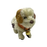 Jucarie catel topaitor cu cheita