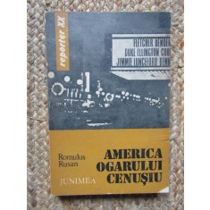 America ogarului cenusiu &ndash; Romulus Rusan