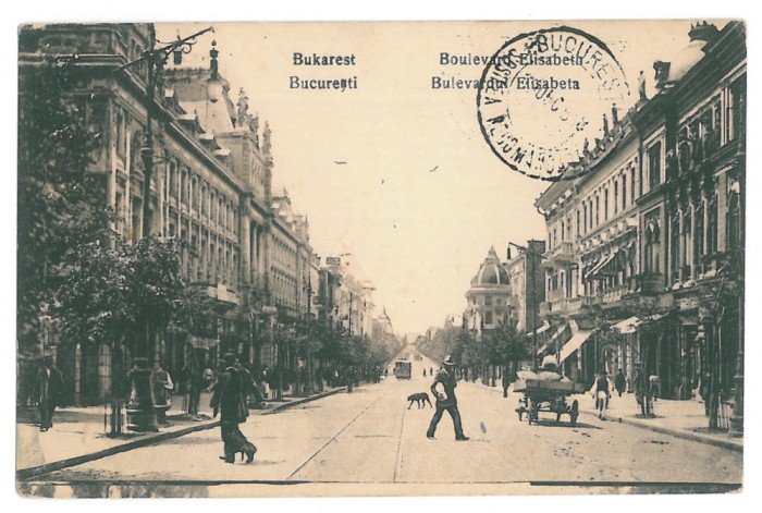 3429 - BUCURESTI, Elisabeth Ave. Romania - old postcard - used - 1909