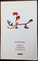 EMIL BRUMARU - DINTR-O SCORBURA DE MORCOV (VERSURI, 1998 / desene RAZVAN LUSCOV) foto