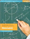 Cumpara ieftin Manual Matematica clasa a VII-a Dorin Lint Sorin Doru Noaghi editura Litera 2019 elevi