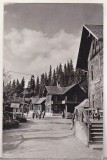 Bnk cp Paltinis - Vedere din statiune - circulata, Printata, Sibiu