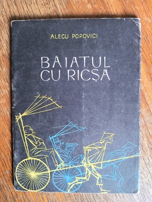 Baiatul cu risca - Alecu Popovici / R6P3F foto