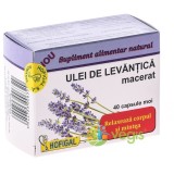 Ulei Lavanda 40cps