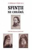 Cumpara ieftin Sfintii ne cheama. 15 file din Sinaxarul inimii mele/Ciprian Voicila