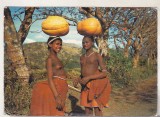Bnk cp Africa de Sud - Tinere carand dovleci - circulata, Printata