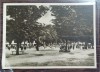 Carte postala - Scoala centrala de fete din Bucuresti: Ora de educatie fizica in gradina mare