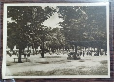 Carte postala - Scoala centrala de fete din Bucuresti: Ora de educatie fizica in gradina mare