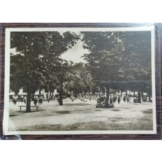 Carte postala - Scoala centrala de fete din Bucuresti: Ora de educatie fizica in gradina mare