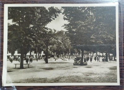 Carte postala - Scoala centrala de fete din Bucuresti: Ora de educatie fizica in gradina mare foto
