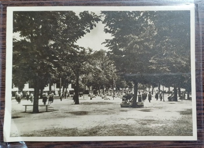 Carte postala - Scoala centrala de fete din Bucuresti: Ora de educatie fizica in gradina mare