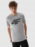 Tricou regular cu imprimeu pentru bărbați, 4F Sportswear