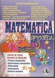 Matematica. Clasa a VIII-a - Stefan Smarandache, Camelia Diaconu