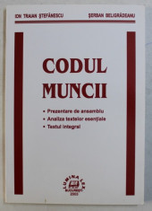 CODUL MUNCII de ION TRAIAN STEFANESCU si SERBAN BELIGRADEANU , 2003 foto