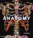 Anatomy |, 2020