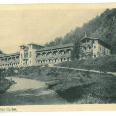 4288 - SLANIC MOLDOVA, Bacau, Romania - old postcard - used - 1906