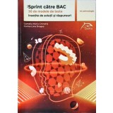 SPRINT CATRE BAC, MATEMATICA. 30 DE MODELE DE TESTE INSOTITE DE SOLUTII SI RASPUNSURI (M_TEHNOLOGIC)-CAMELI-328341