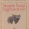 Noapte buna, Sagetatorule - Proze
