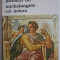 Jurnalul lui Michelangelo cel nebun - Rolando Cristofanelli (putin uzata)