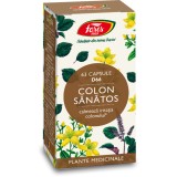 Colon sanatos D66, 63 capsule, Fares