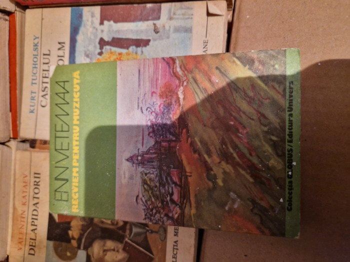 Recviem pentru muzicuta vintage