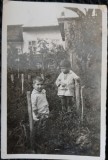 Fotografie, Doi baietei in gradina de legume, perioada interbelica