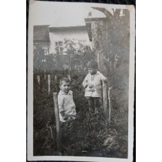 Fotografie, Doi baietei in gradina de legume, perioada interbelica