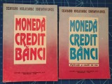 Moneda credit banci - Aplicatii studii de caz / Basno Dardac Floricel (2 volume), 1995