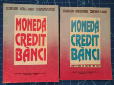 Moneda Credit Banci - Basno Floricel 2 vol. Curs + Aplicatii Studii de caz 1995 foto