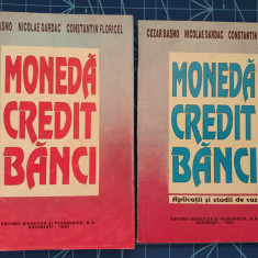 Moneda credit banci - Aplicatii studii de caz / Basno Dardac Floricel (2 volume)