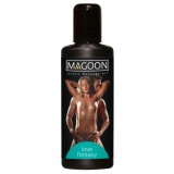 Ulei Pentru Masaj Erotic Love Fantasy, 100 ml
