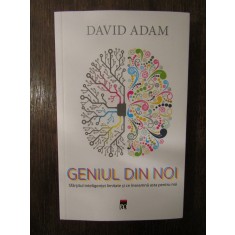Geniul din noi - David Adam