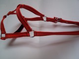 Capastru echitatie 3 cm/ponei