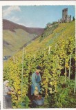 SG5 - Carte Postala - Germania, Burgruine Metternich bei Beilstein, Necirculata, Circulata, Fotografie