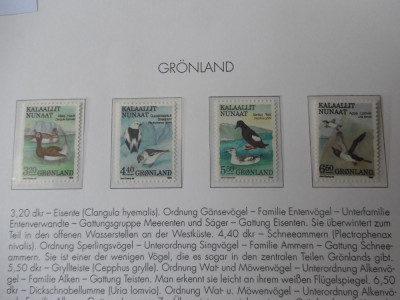 Groenlanda-Fauna ,pasari -serie completa-nestampilate foto