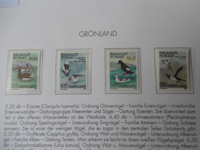 Groenlanda-Fauna ,pasari -serie completa-nestampilate