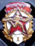 I.417 INSIGNA RUSIA URSS CCCP GATA PENTRU MUNCA SI APARARE GTO I