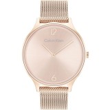 Cumpara ieftin Ceas Dama, Calvin Klein, Timeless 2h 25200002 - Marime universala