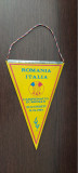 Cumpara ieftin FANION ROMANIA - ITALIA CAMPIONATUL EUROPEAN BUCURESTI 16.04.1983