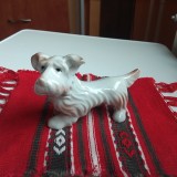 Bibelou vechi catel caine schnauzer figurina portelan de colectie ceramica comunism romania 1953 RPR