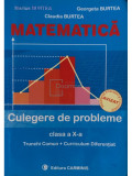 Marius Burtea - Matematică - Culegere de probleme clasa a X-a (editia 2005)