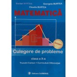 Marius Burtea - Matematica - Culegere de probleme clasa a X-a (Editia: 2005)