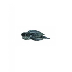 Figurina Broasca Testoasa de Mare M Collecta