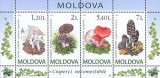 MOLDOVA 2010, Ciuperci, Bloc neuzat, MNH, Nestampilat