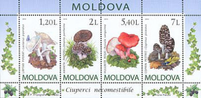MOLDOVA 2010, Ciuperci, Bloc neuzat, MNH foto