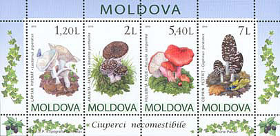 MOLDOVA 2010, Ciuperci, Bloc neuzat, MNH